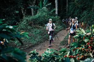 BIB: 
                            <button type="button" onclick="openModal(25805366)" class="btn btn-primary btn-sm float-right btn-popup" data-toggle="modal" data-target=".modal-high-quality">
                        <i class="fas fa-shopping-cart"></i> Add to Cart
                    </button>
                                            <button type="button" onclick="isThisMe(25805366, true)" class="btn btn-success btn-sm float-right btn-popup btn-isme hidden" data-toggle="tooltip" data-placement="bottom" title="นี่คือรูปของคุณใช่ไหม คลิกที่นี่เพื่อเอาเข้าอัลบั้ม">
                        <i class="fas fa-plus"></i> Add to album
                    </button>
                    <button type="button" onclick="isThisMe(25805366, false)" class="btn btn-warning btn-sm float-right btn-popup btn-isnotme hidden">
                        <i class="fas fa-ban"></i> Remove from album
                    </button>